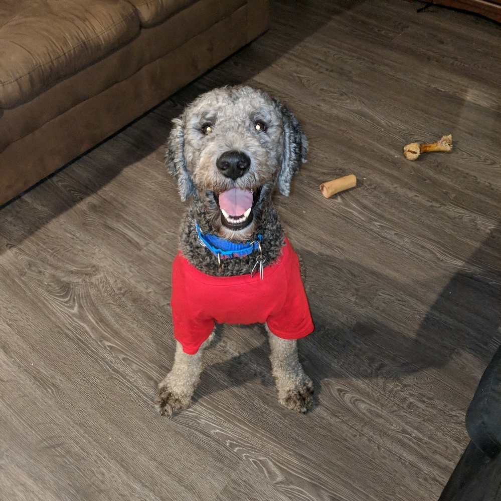 Meet your Posher, Raul